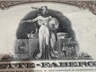 Rayette-faberge  Inc  Stock Certificate Payee Miss Linda S Orenstein   Marvene S