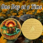 7 Year Sobriety Coin Alcoholics Anonymous Chips Medallions Seven Years Sober