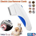 Electric Flea Zapper Lice Remover Hair Comb Brush For Pet Cat Dog Cleaning Tool