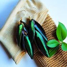 Beetle Wing Earrings Handmade  Natural Insect Tassel Pendant Gift