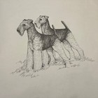 Airedale Terrier Pair Original Pen And Ink Bymartha Van Loan 24 X18