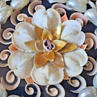 Vintage Sailor s Valentine Framed Seashell Wall Art Natural Organic Shellwork