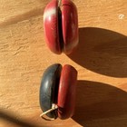 Duncan Tournament   Genuine Yo-yo Red Duncan Beginners Pre-1970 Vintage Toy