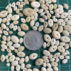 Sea Shell Mix  From Japan   rice-grain Sea Urchin Shell      tiny To Small