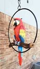 Ebros Hanging Scarlet Macaw Parrot Perching On Branch In Metal Round Ring 13 5 h