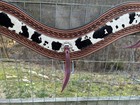 Two Tone Leather Hair On Tripping Collar  Western Breast Collar Horse Size Tack