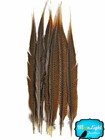 10 Pieces - 18-20  Natural Long Golden Pheasant Tail Feathers