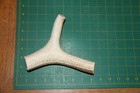 Xlarge Upper Elk Antler Dog Chew  56   Bone Chews Deer Elk Treats Deer 222