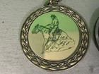  2  Michigan Reining Horse Association Medal Medallion 2 75  Mrha Equestrian