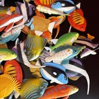 Learning Resources Fish For Counting  Math Early Learning  60 Fish  Complete Set
