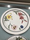 Set Of 4 Southern Pacific Rrbs Prairie-mountain Wildflower 1952 Syacuse China
