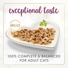 Purina Grilled Chicken Wet Cat Food 12 3 Oz Cans