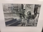 1984 Framed Photograph Of Jim Morrison s Grave By Jp Wright