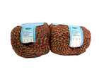 Yarn Place -  10 Skeins  Casual Wool Blend   Autumn 2888