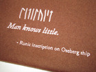 Viking Cruise Line Runic Inscription Oseberg Ship Travel Organizer Document Bag