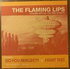 Flaming Lips Yoshimi Battles The Pink Robots 12    X 12    Promo Poster Flat