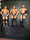 Tara Toy Corp  Wwe Figure Carrying Case With Assorted Figures   Accessories