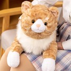 Cat Weighted Stuffed Animals  5 3 Lbs 25 5 Inch Weighted Cat Plush Toy Realis   