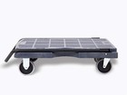 Plastic Platform Trolley  400 Lb  Cap  31  X 20   2-way Handle Position
