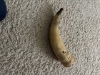 Authentic  50   s Natural Cow steer Horn  Made Into A Traditional Blowing Horn 