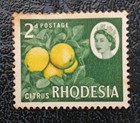 Rhodesia Stamp 1966 Issue 2d Citrus Oranges Faulty Colour Used Previously Hinged