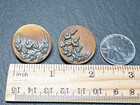 Victorian 2 Tone Floral Relief Metal Shank Buttons   2 1   4 11 16  E949