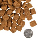 Fromm Gold Adult Dog Food 30 Lbs - All Nature Chicken Formula