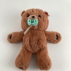 Little Live Pets Cozy Dozys Beau The Bear Plush Stuffed Animal Toy 2020 Moose  
