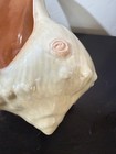 Vintage Signed Conch Shell Planter With Pink Colored Inside Stamp