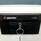 Sentry Safe 1170 Gray Large Lock Box Fire Proof Safe W keys 13 x15 
