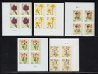 Us Scott   5897-5906 Flowers 2024 All Singles  Coils  Plate   Strips   Blocks