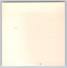 Steam Locomotive Train 1950s Snapshot Photograph Boy On Engine Americana