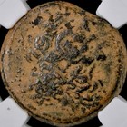 Ptolemaic Kingdom Coin 180bc-145bc Ngc Graded Vf Ptolemy Vi Zeus Ammon Eagle