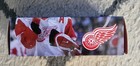 Steve Yzerman Mini Stick Case Detroit Red Wings Sga 1 14 25