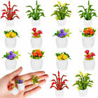 1 12 14pcs Dollhouse Miniature Resin Plant Multicolor Flower With Pot Garden