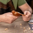 Wood Carving Kit For Beginners Diy01     Bird Whittling Gift Set   Beavercraft