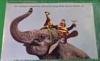 Lot 5 Circus Color Postcards Clowns Elephants Ringling Brothers