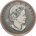 2024 Maple Leaf Forever  300 Canada Platinum Coin Pf 70 Certified Ngs