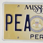 2020 Mississippi State Seal License Plate      Perry County Ms Tag Pea 4107