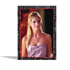 Buffy The Vampire Slayer Series 1 Trading Cards Collector Box   2 Packs