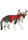 California Costumes Dog Reindeer Costume  Medium  Christmas Pet Outfit