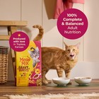 Meow Mix Gravy Bursts Dry Cat Food Savory Chicken Flavor 13 5 Lb Bag