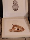 Set Of 6 Woodland Animal Nursery Wall Art Prints  White Frames  Multicolor