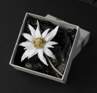 White Lapel Pin Edelweiss Boutonniere For Men Handmade