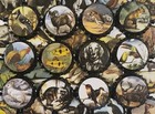 100 Animal Homebrew Beer Bottle Crown Caps Animal Decoration Home Brew
