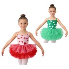 Kids Girls Dancewear Party Dresses Stage Tulle Dress Carnival Ballet Bodice