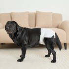 Disposable Female Dog Diapers Large Size 12 Count Washable Absorbent Pet Pants