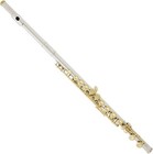    mendini Closed Hole C Flute W case  Stand   Lesson Book - Nickel W gold Keys