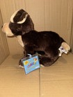 Ganz Webkinz Mocha Pup Hm348 Stuffed Animal Puppy Dog Plush Unused Code New
