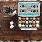 Henlay 18-egg Farm Fresh Egg Cartons - Recycled Paper Printed Design - 50 Pack